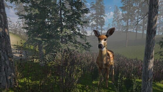 Zory — screenshot 3