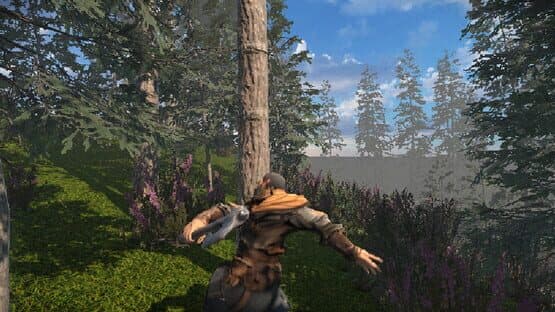 Zory — screenshot 6