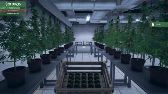 Weed Supermarket Simulator — screenshot 1