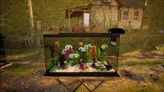 Fish Tank Simulator — screenshot 6