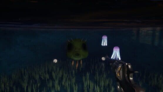 Fish Eyes — screenshot 6