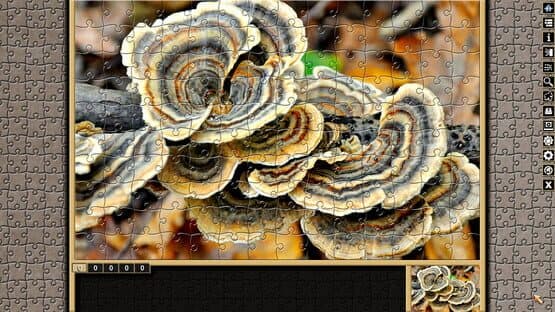 Pixel Puzzles Traditional Jigsaws: Forests — screenshot 3