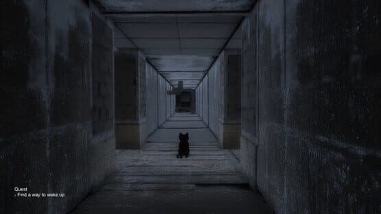 Black Cat — screenshot 4