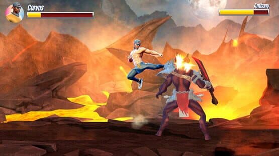 Fantasy Soul Revenge — screenshot 1
