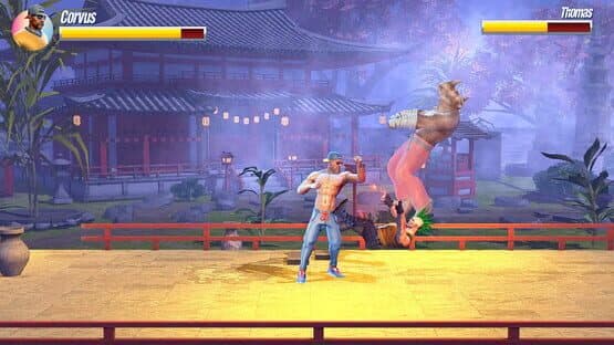 Fantasy Soul Revenge — screenshot 7