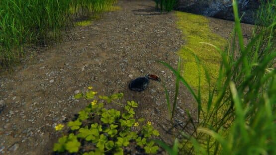 Strong Crab — screenshot 6