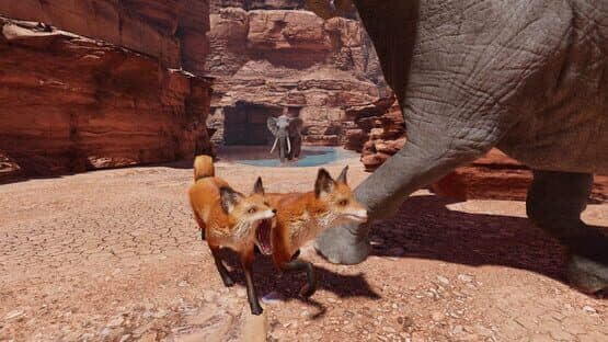 Food Chain — screenshot 6