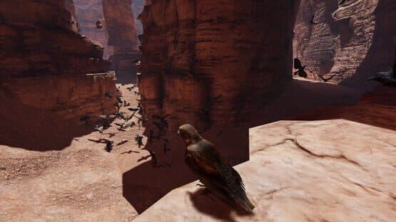 Food Chain — screenshot 7