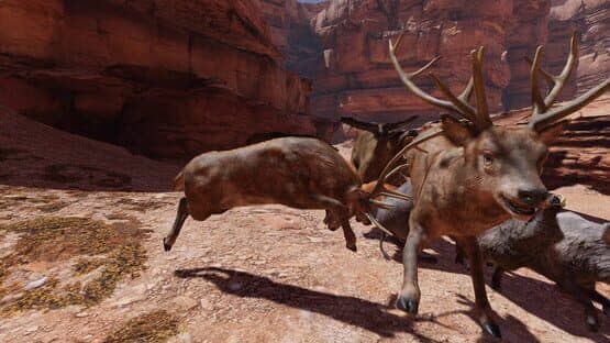 Food Chain — screenshot 8