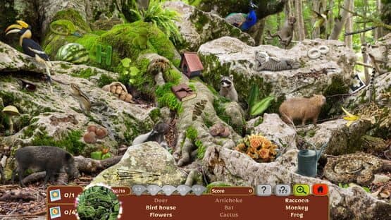 Nature Escapes 5: Collector's Edition — screenshot 1