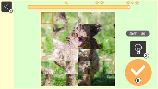 Brain Workout! Spinning Dog Puzzle — screenshot 3