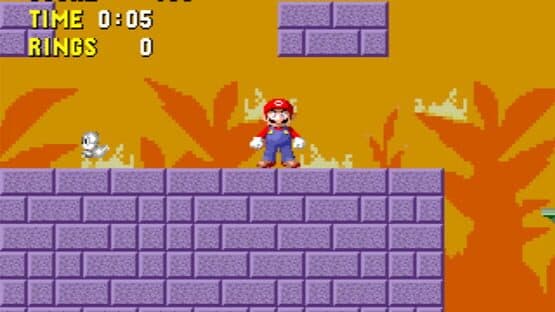 The Worst Sonic the Hedgehog Romhack (Featuring Mario) — screenshot 3