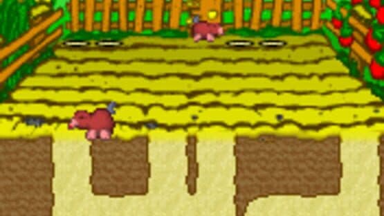 King of the Cabbage World — screenshot 3