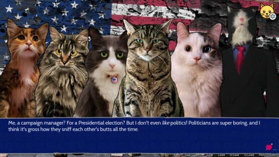 Cat President: 3rd-Rate Candidate — screenshot 1