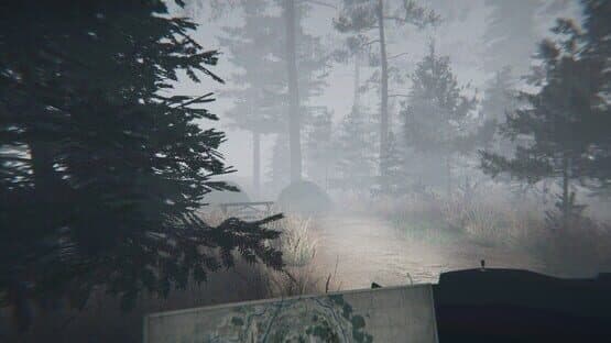 Midnight Files: Missing in Forest Lake — screenshot 6