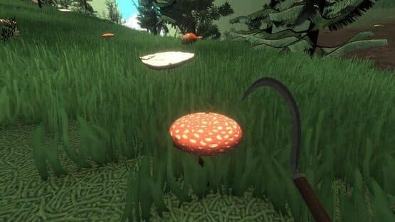 Forester Simulator 2026: Mushroom Hunting — screenshot 4