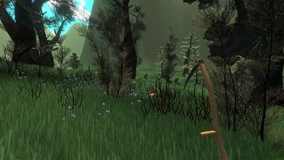 Forester Simulator 2026: Mushroom Hunting — screenshot 5