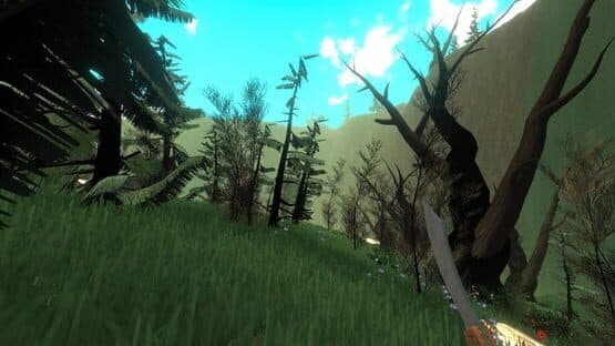 Forester Simulator 2026: Mushroom Hunting — screenshot 6