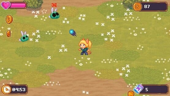 Crazy Cats Survivors — screenshot 1