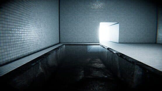 Hamam: The Steaming Backrooms — screenshot 2