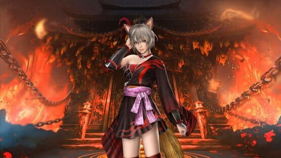 Warriors: Abyss - Dynasty Warriors Classic Costume Set — screenshot 4