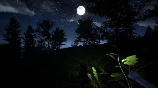 Campfire: Night One — screenshot 1