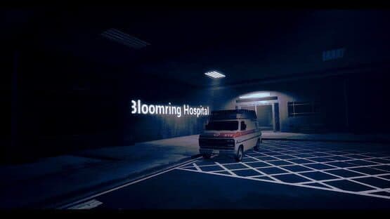 At Night: The Nurse — screenshot 3