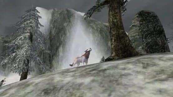The White Wolf of Lokken Mountain — screenshot 1