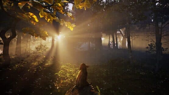 Adorable Adventures — screenshot 1