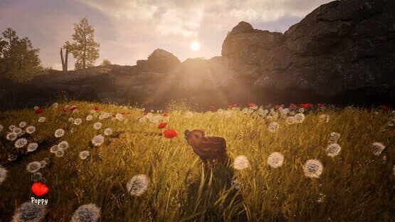 Adorable Adventures — screenshot 5