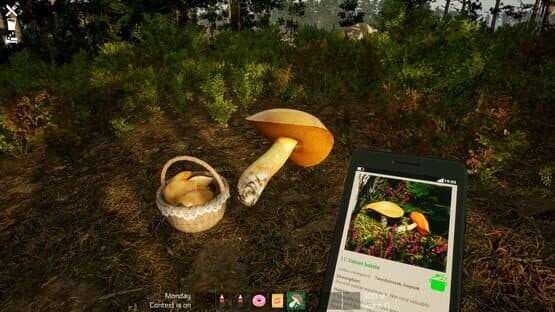 Mushroom Season — screenshot 3
