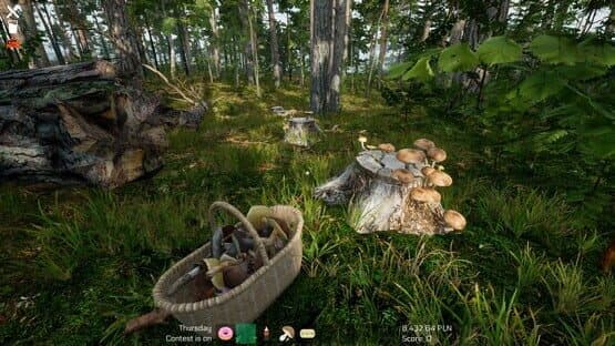 Mushroom Season — screenshot 8