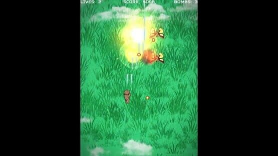 Bear Shooter — screenshot 5