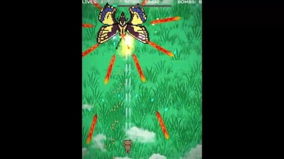 Bear Shooter — screenshot 6