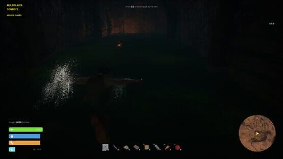 Multiplayer Cowboys — screenshot 3