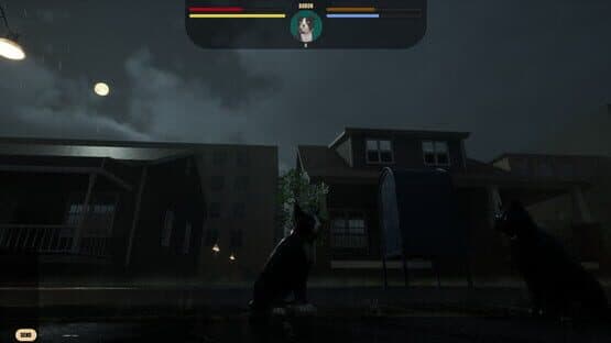 City of Cats — screenshot 3
