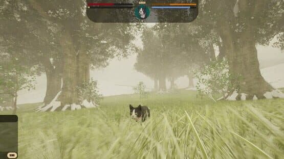 City of Cats — screenshot 8