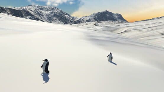 But Why Penguin? — screenshot 2