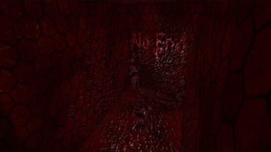 Far a Night — screenshot 1