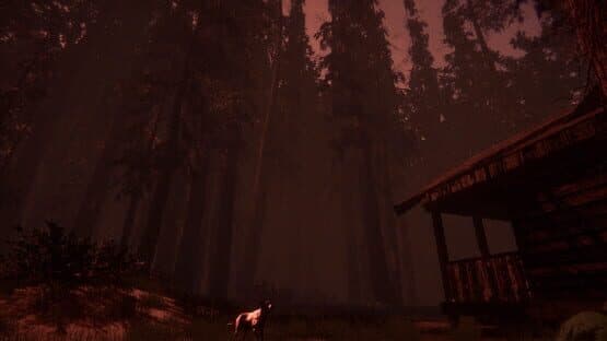 Shroud of the Woods — screenshot 1