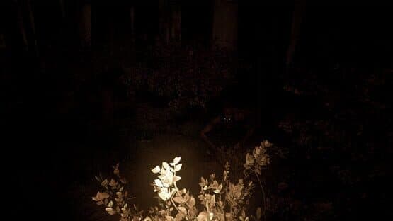 Shroud of the Woods — screenshot 2