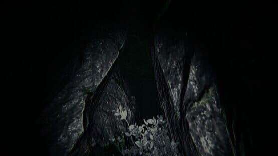 Shroud of the Woods — screenshot 7