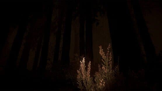 Shroud of the Woods — screenshot 8