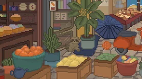Hidden Raccoons — screenshot 3