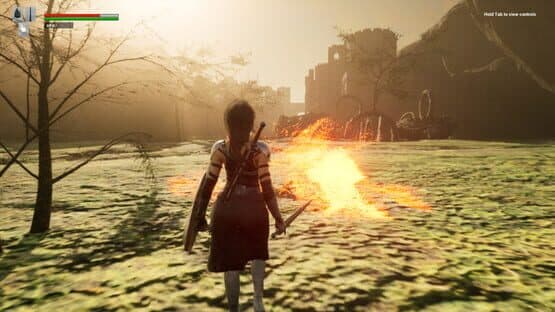 Assassin of Dragon — screenshot 3