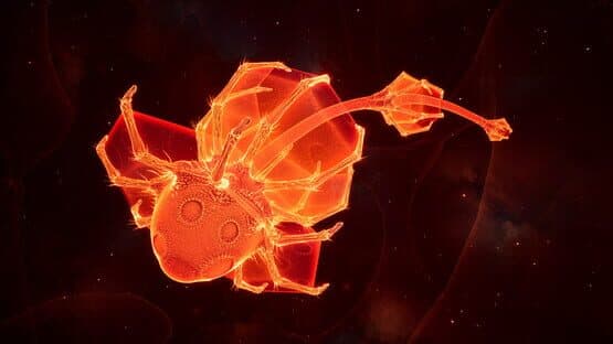 Lifecycles of the Traveler Spider — screenshot 3