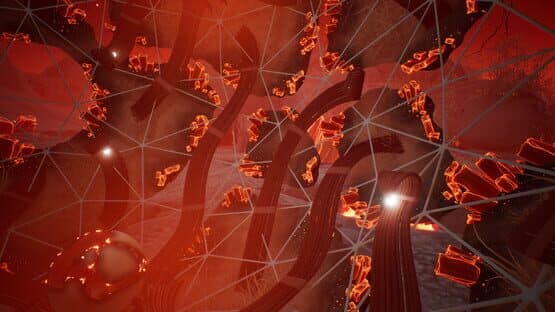 Lifecycles of the Traveler Spider — screenshot 5