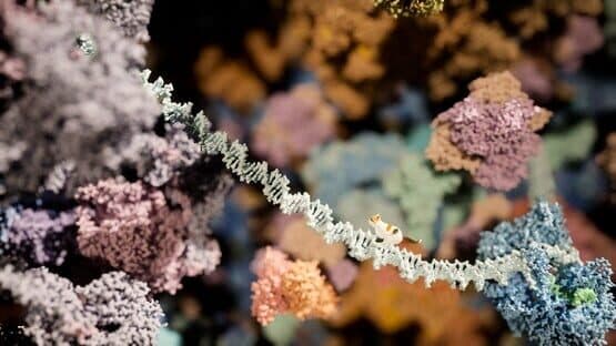 Meowtabolism: Examining Feline Behavior Within Unicellular Algae — screenshot 2