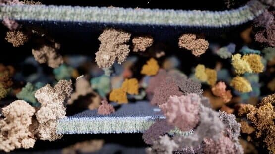 Meowtabolism: Examining Feline Behavior Within Unicellular Algae — screenshot 3