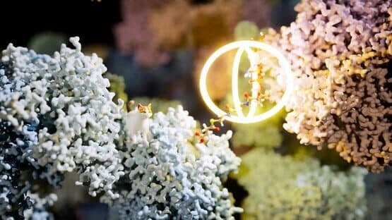 Meowtabolism: Examining Feline Behavior Within Unicellular Algae — screenshot 4
